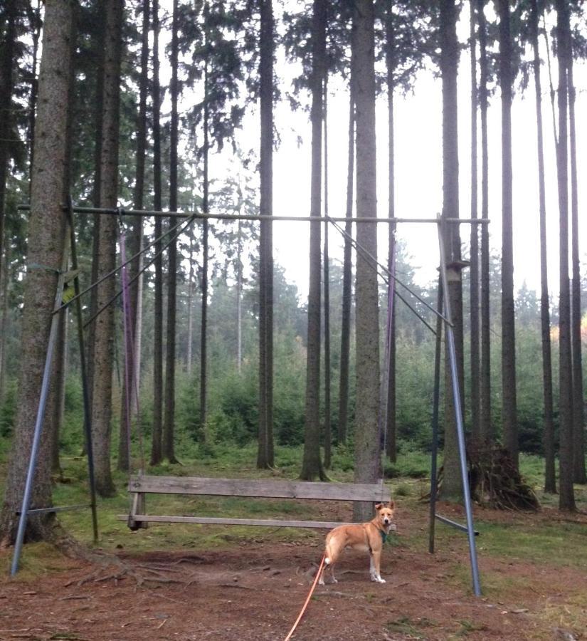 Hundeurlaub Im Tiny House Im Wald Villa Tanna Exterior photo