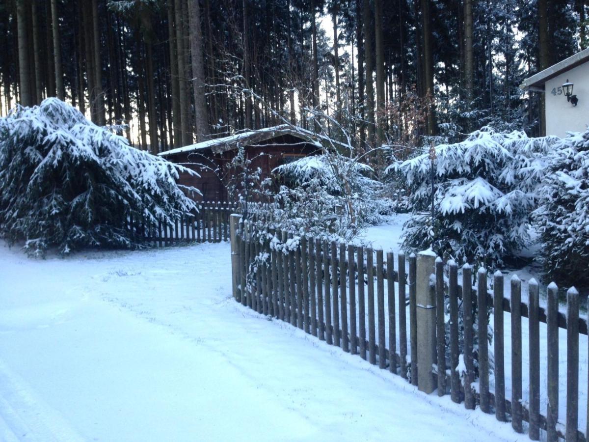 Hundeurlaub Im Tiny House Im Wald Villa Tanna Exterior photo
